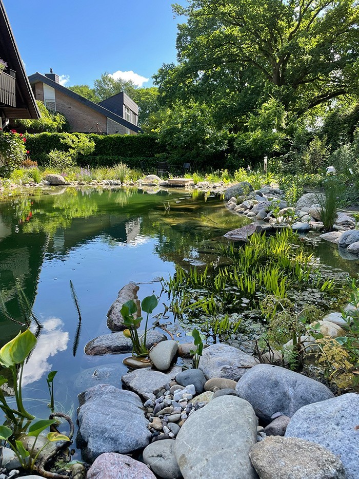 Natürlicher Teich mit heimischen Materialien im Garten erbaut